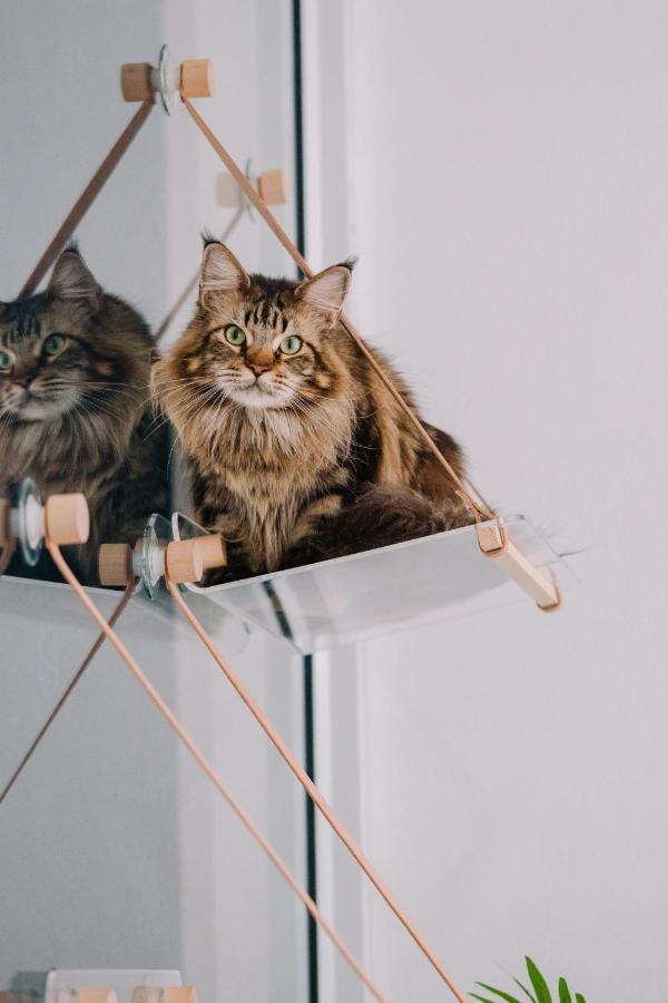 Meow Cafe & Hotel Patong Luaran gambar